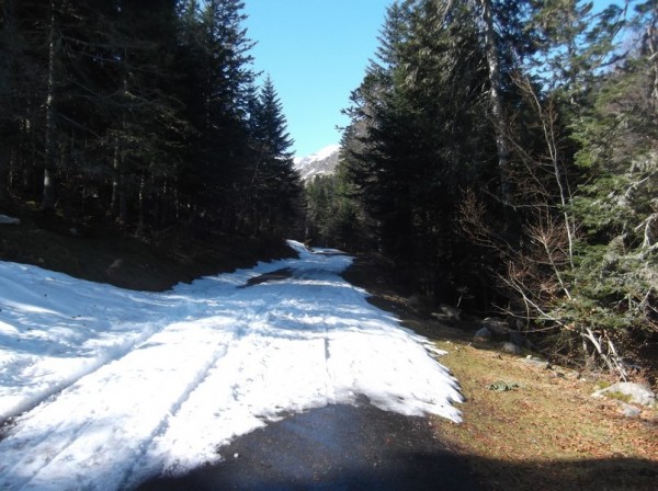Col d'Aspin 14 avril 2015 110