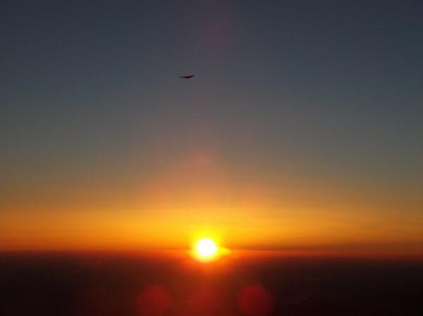 Un vautour qui plane devant le lever du soleil, magnifique !